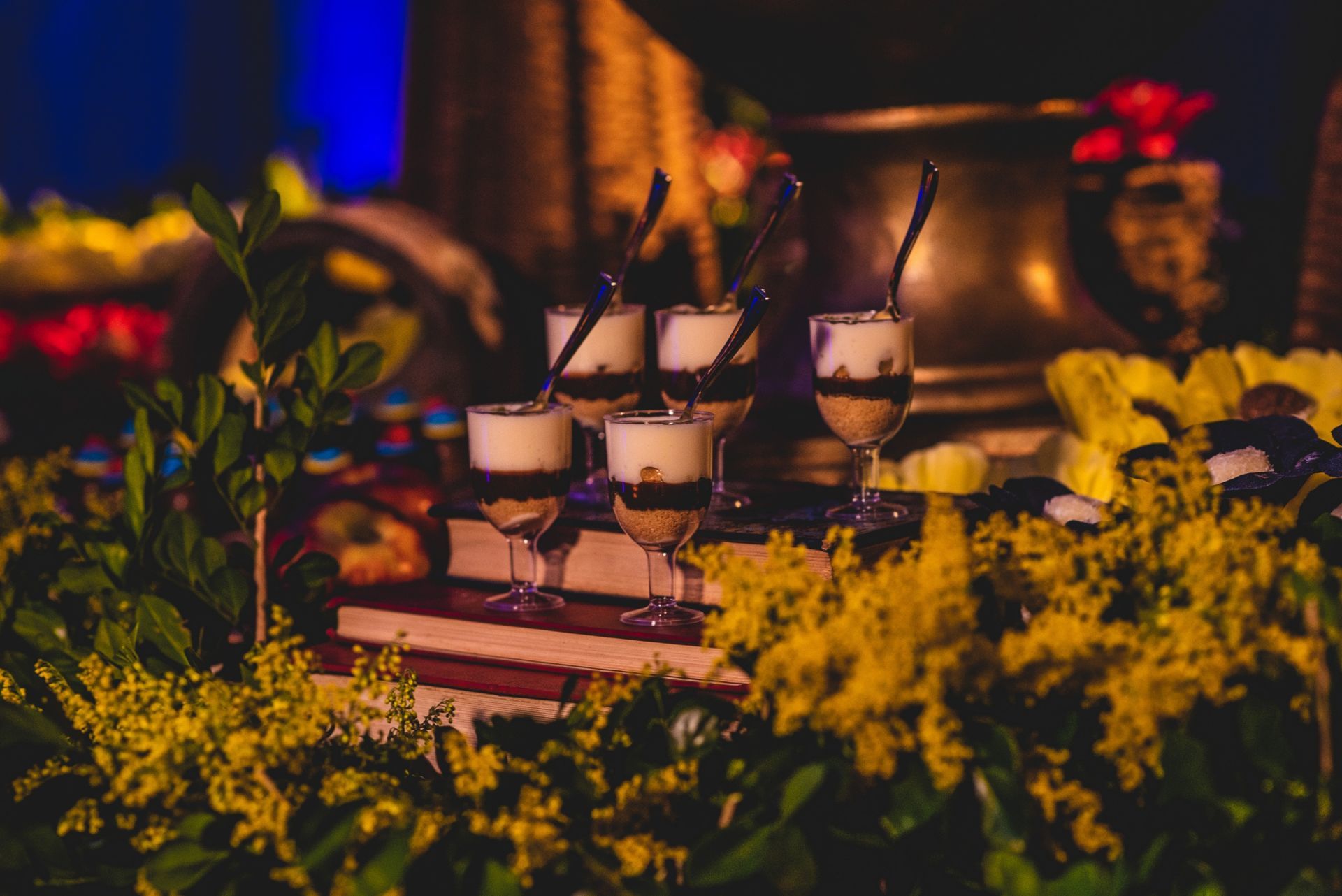 Foto Evellyn - 15 Anos - Imagem 3