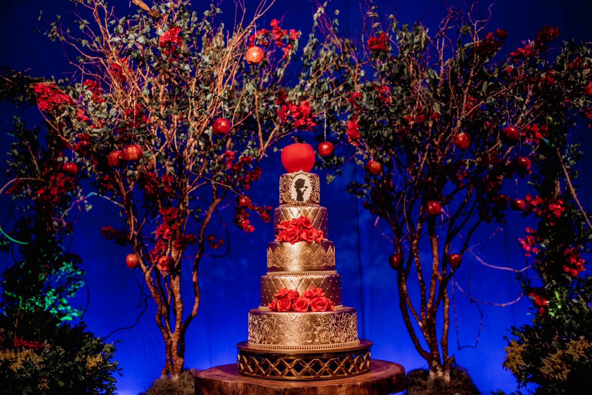 Foto Evellyn - 15 Anos - Imagem 2