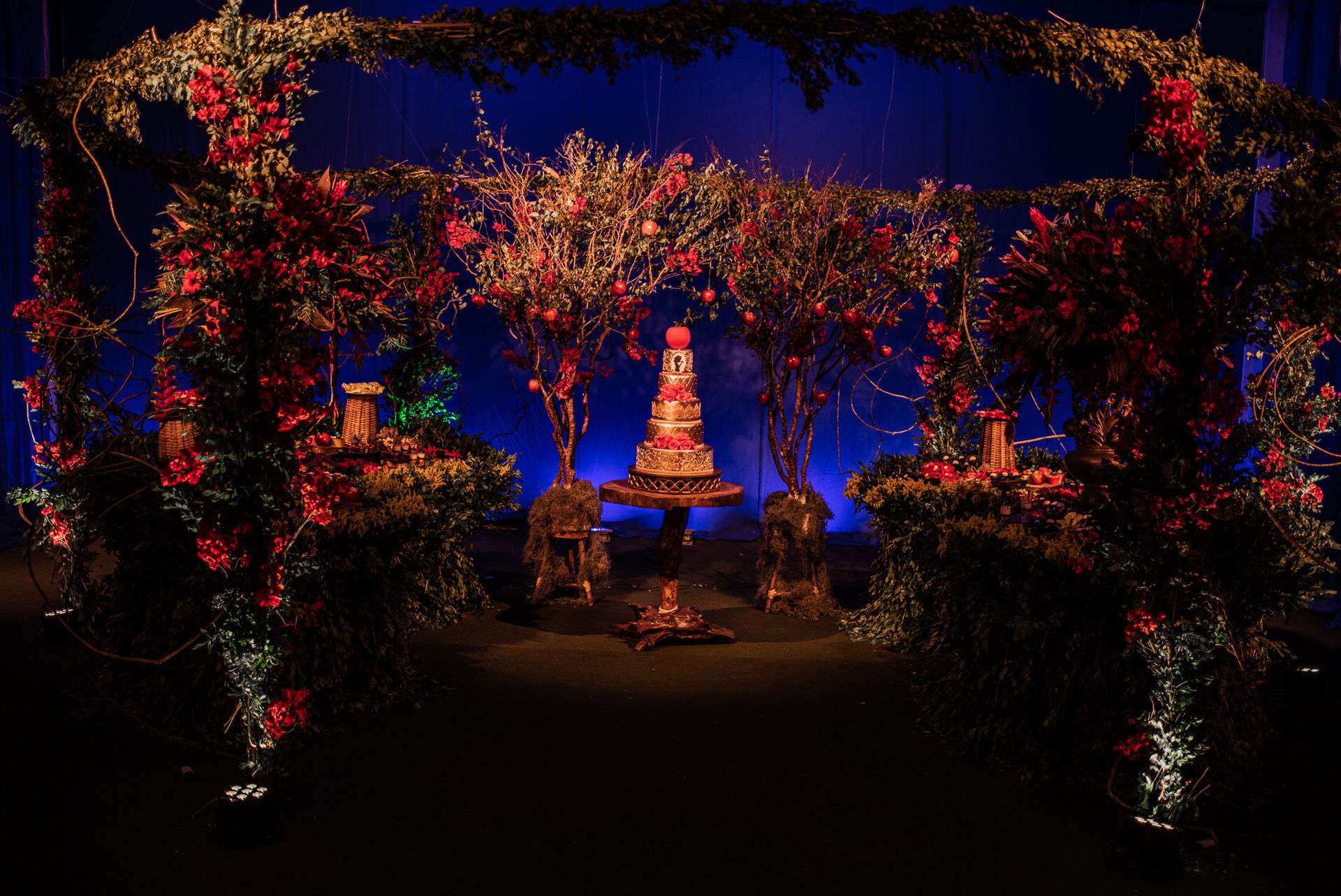 Foto Evellyn - 15 Anos - Imagem 6