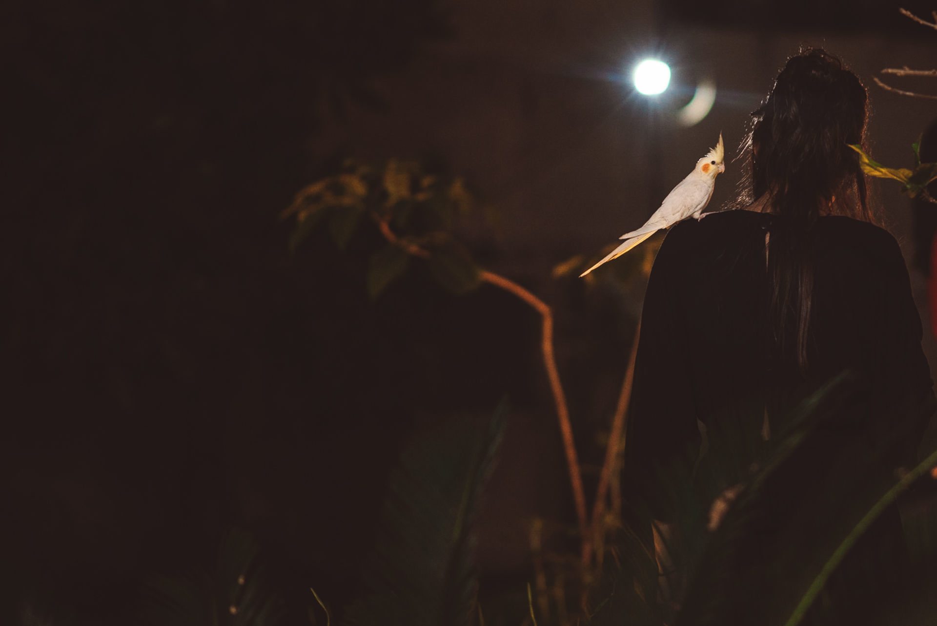 Foto CASAMENTO JOÃO E BARBARA, SANTA CRUZ DA SERRA - RJ Foto CASAMENTO JOÃO E BARBARA, SANTA CRUZ DA SERRA - RJ - Imagem 9