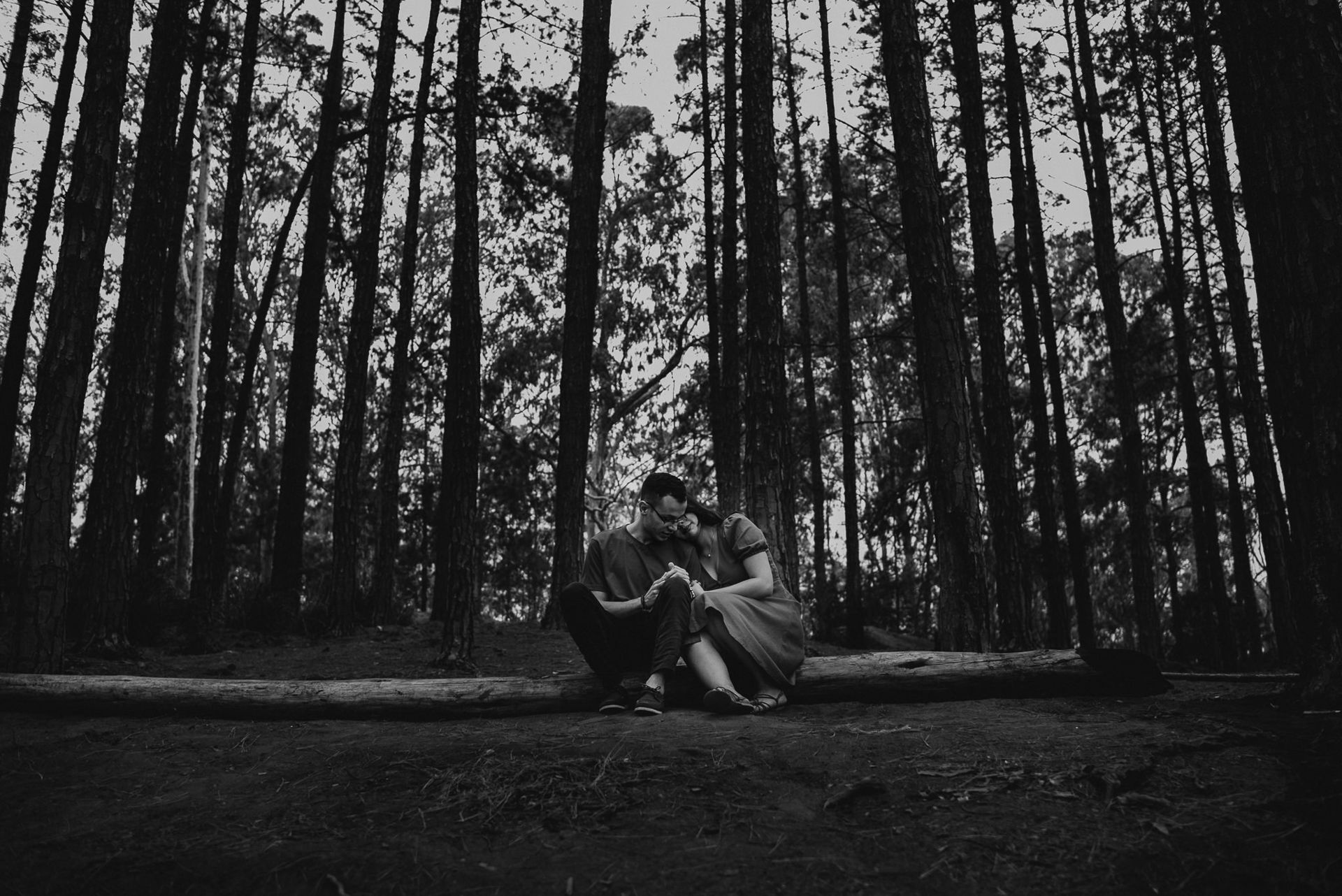 Foto ENSAIO PRÉ WEDDING GABRIEL E THAY, PETRÓPOLIS - RJ, ENSAIO DOS PINHEIROS - Imagem 1