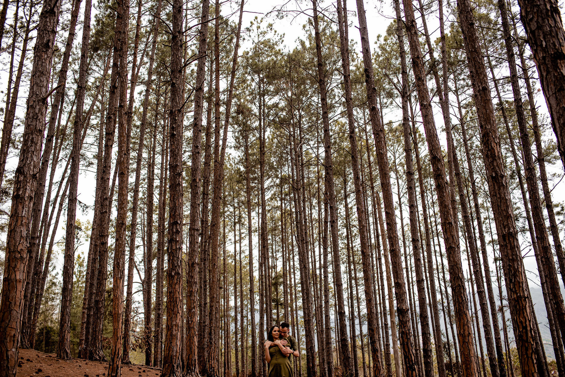 Foto ENSAIO PRÉ WEDDING GABRIEL E THAY, PETRÓPOLIS - RJ, ENSAIO DOS PINHEIROS - Imagem 5
