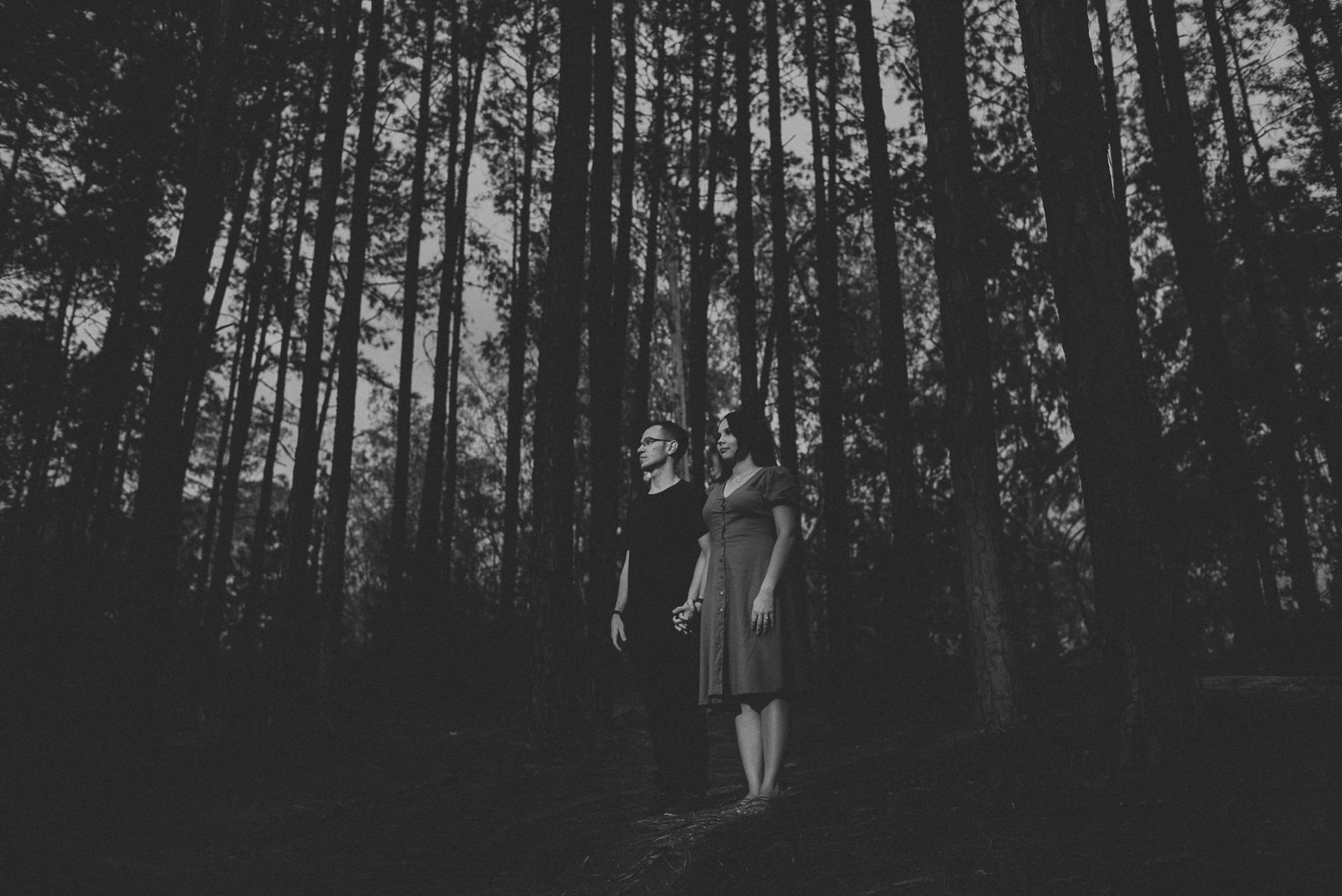 Foto ENSAIO PRÉ WEDDING GABRIEL E THAY, PETRÓPOLIS - RJ, ENSAIO DOS PINHEIROS - Imagem 7