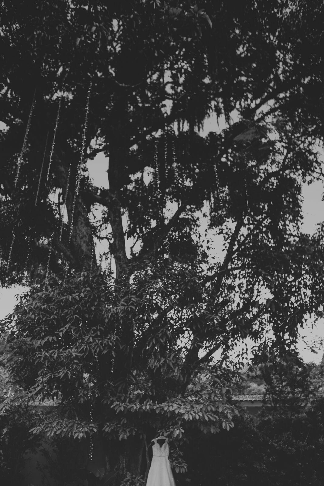 Foto CASAMENTO A NOITE CAROL E GABRIEL, CHALÉ ENFESTA SANTA CRUZ DA SERRA - RJ Foto CASAMENTO A NOITE CAROL E GABRIEL, CHALÉ ENFESTA SANTA CRUZ DA SERRA - RJ - Imagem 12