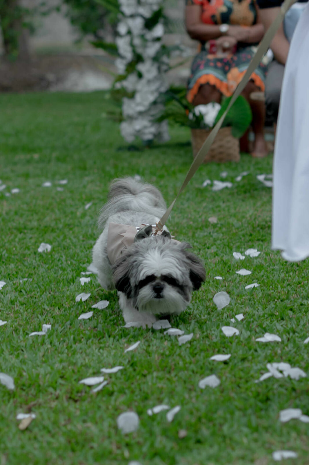 Foto CASAMENTO SITIO DONA BELLA, NOVA IGUAÇU, EVELYN E PEDRO, RIO DE JANEIRO - RJ Foto CASAMENTO SITIO DONA BELLA, NOVA IGUAÇU, EVELYN E PEDRO, RIO DE JANEIRO - RJ - Imagem 74