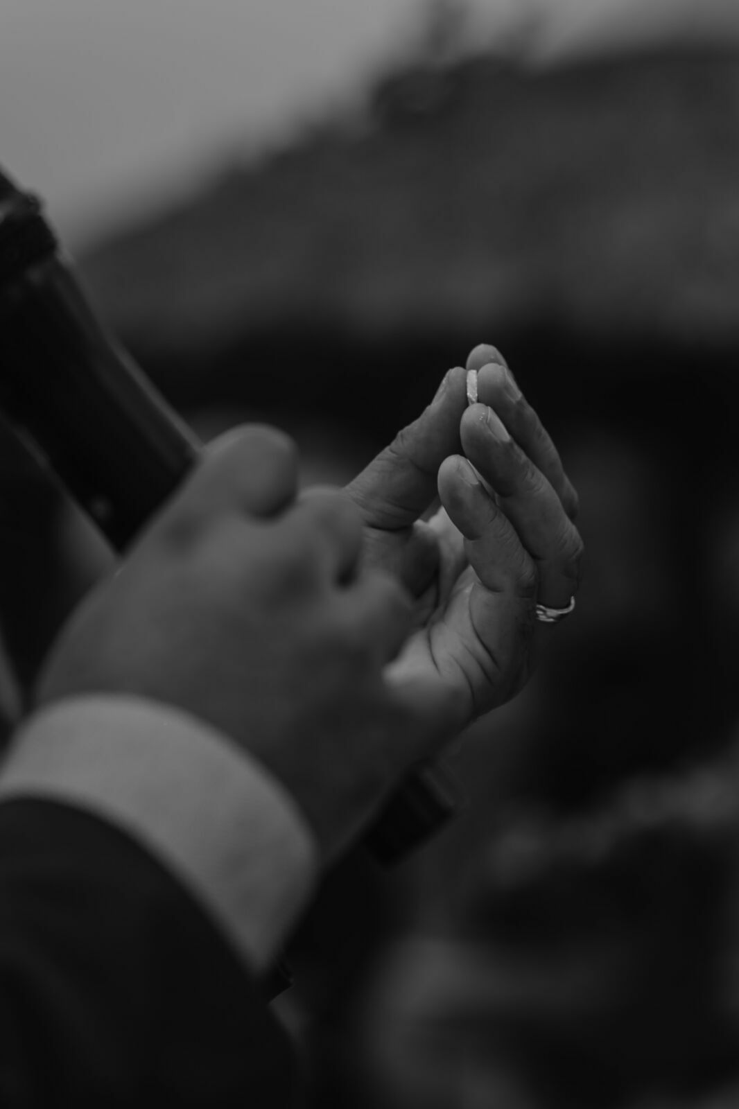Foto CASAMENTO SITIO DONA BELLA, NOVA IGUAÇU, EVELYN E PEDRO, RIO DE JANEIRO - RJ Foto CASAMENTO SITIO DONA BELLA, NOVA IGUAÇU, EVELYN E PEDRO, RIO DE JANEIRO - RJ - Imagem 76
