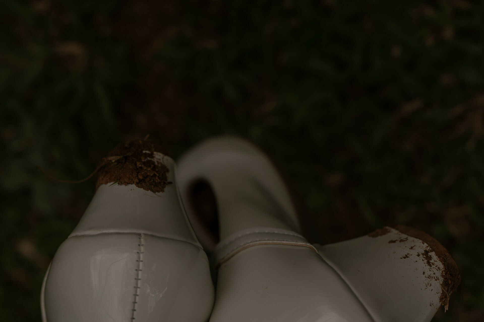 Foto Mini Wedding, Petropolis - RJ  - Imagem 9